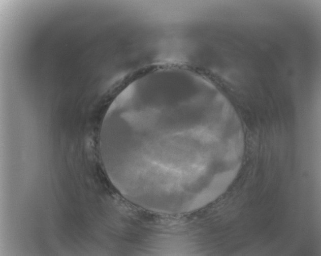 X0000066931254200604071837