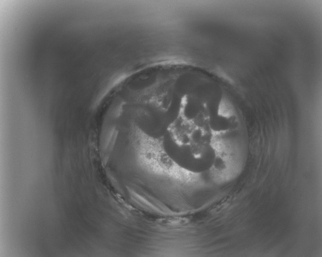 X0000066931255200604071837