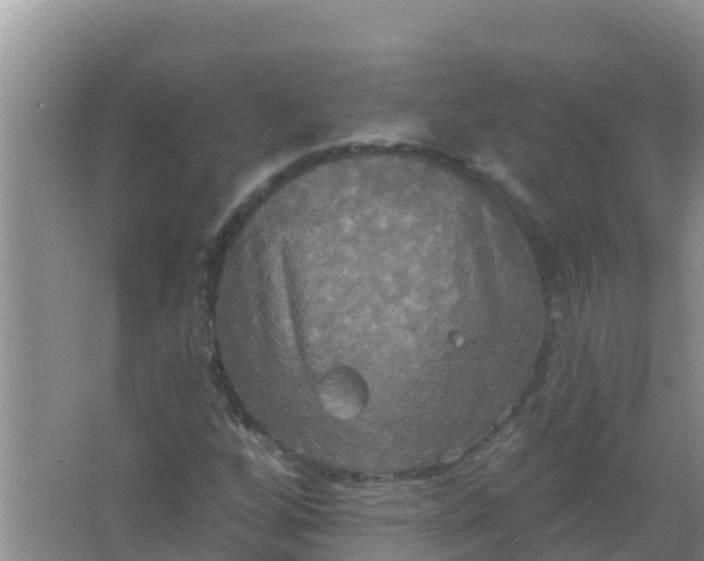 X0000066931256200604071837