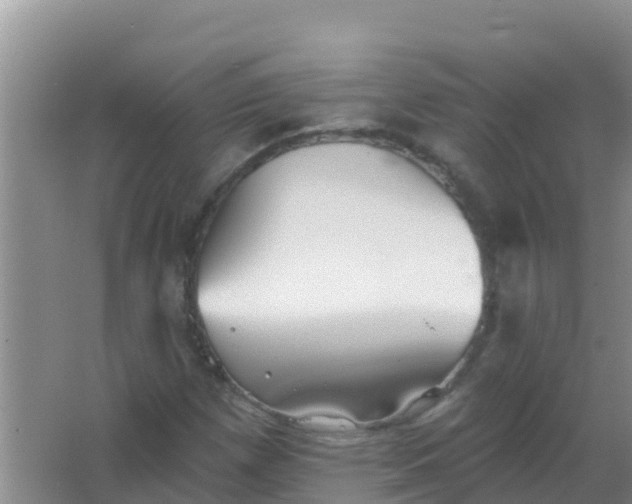 X0000066931257200604071837