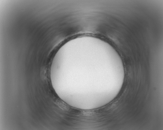 X0000066931258200604071837