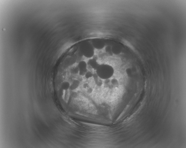 X0000066931259200604071837