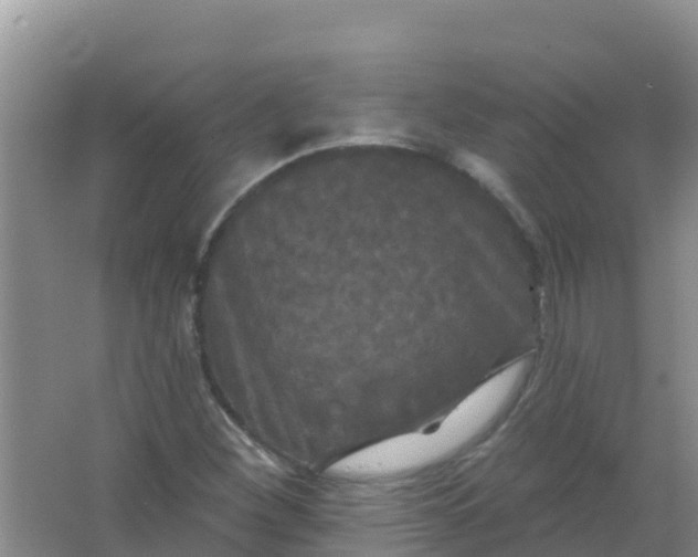 X0000066931260200604071837