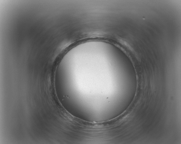 X0000066931261200604071837