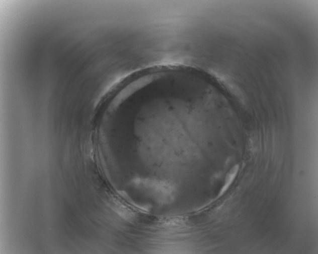 X0000066931262200604071837