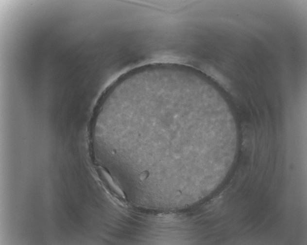 X0000066931264200604071837