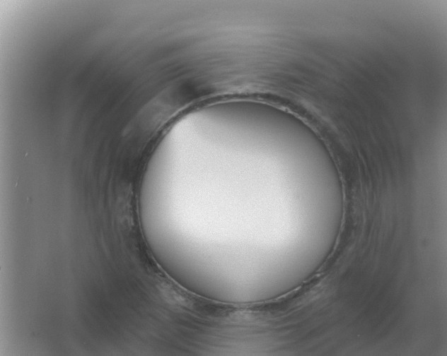 X0000066931265200604071837