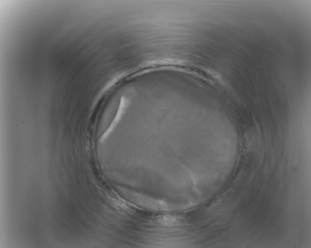 X0000066931266200604071837