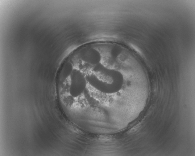 X0000066931267200604071837