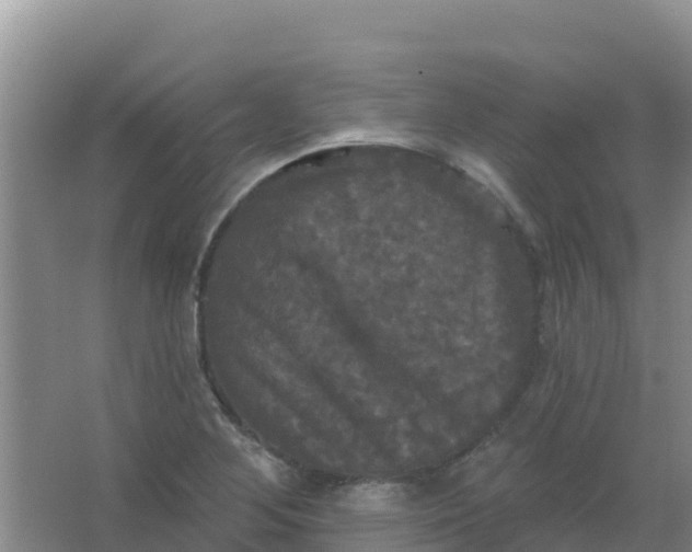 X0000066931268200604071837