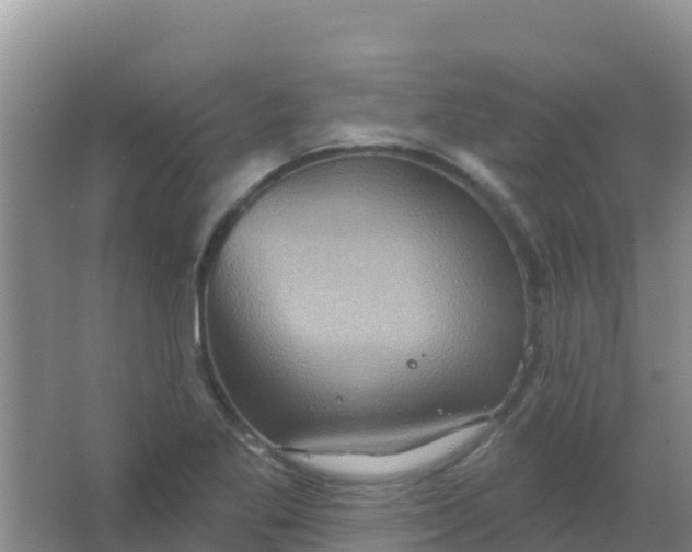 X0000066931269200604071837