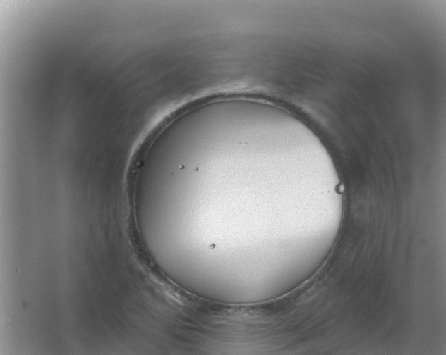 X0000066931270200604071837