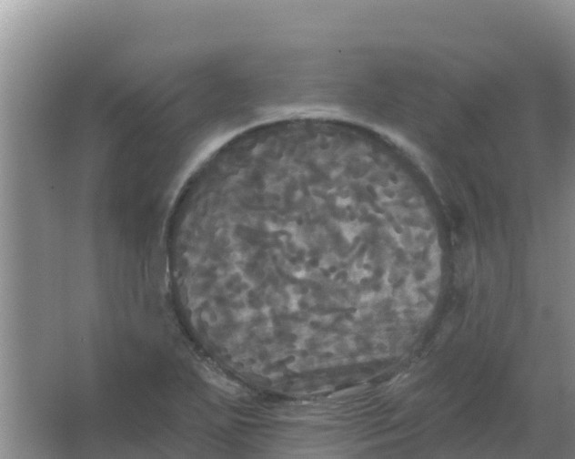 X0000066931271200604071837