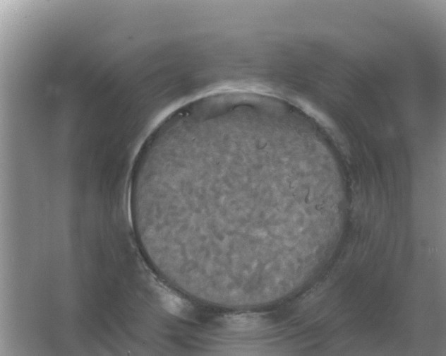 X0000066931272200604071837