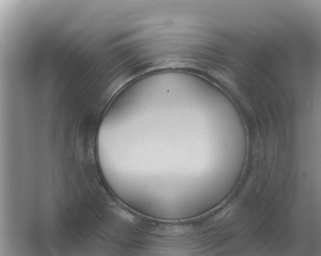 X0000066931273200604071837