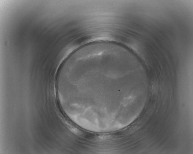 X0000066931274200604071837