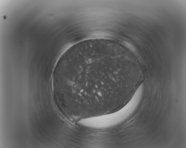 X0000066931275200604071837