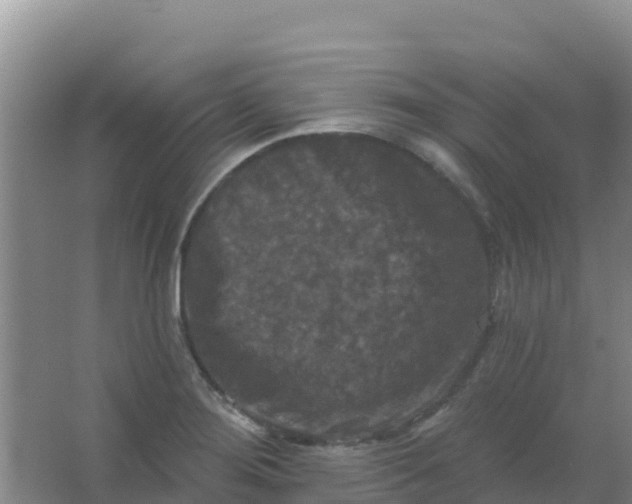 X0000066931276200604071837