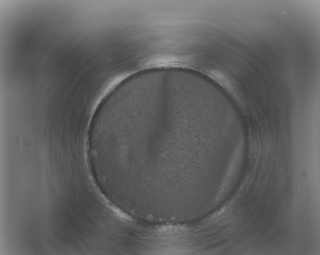 X0000066931277200604071837