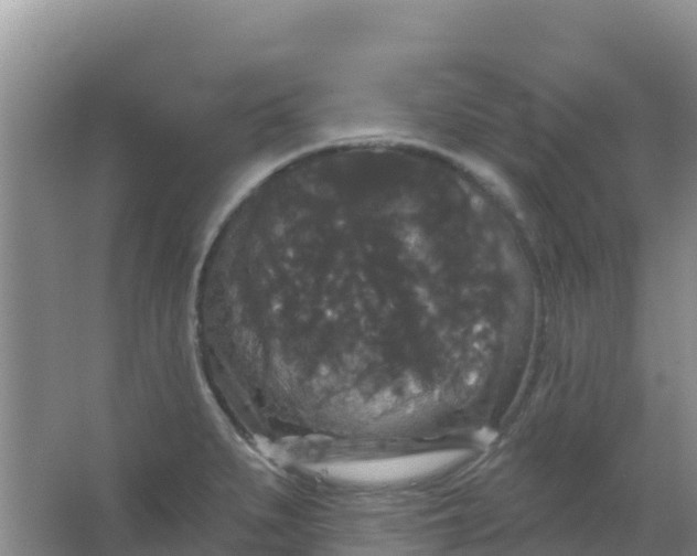 X0000066931279200604071837