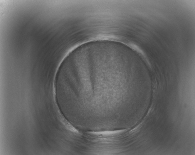 X0000066931280200604071837