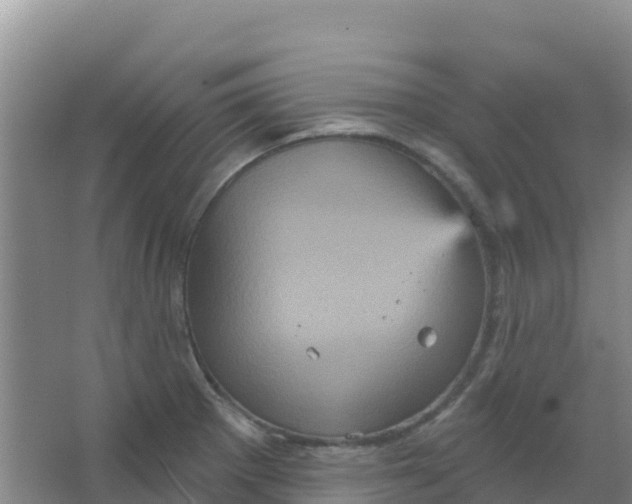 X0000066931281200604071837