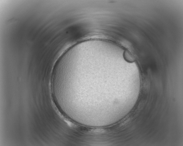 X0000066931282200604071837