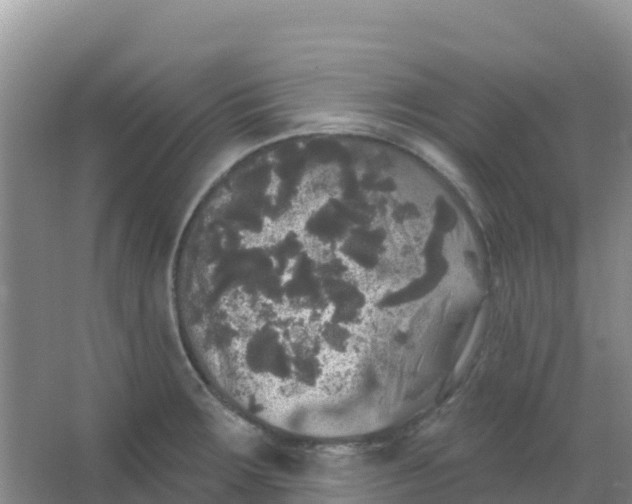 X0000066931283200604071837