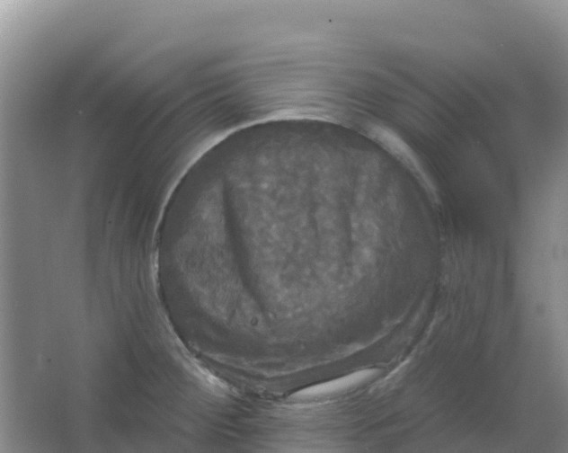 X0000066931284200604071837