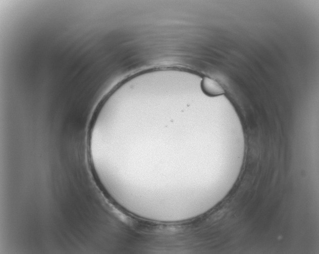 X0000066931286200604071837