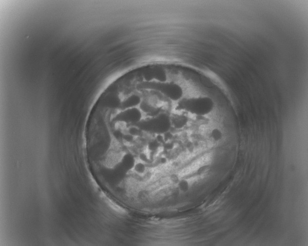 X0000066931287200604071837