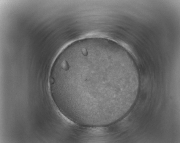 X0000066931288200604071837