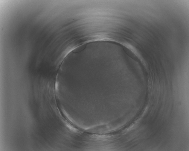 X0000066931289200604071837