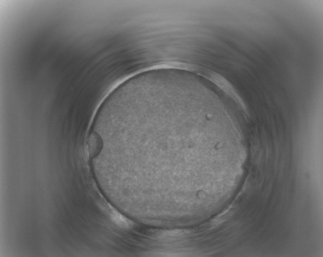 X0000066931292200604071836