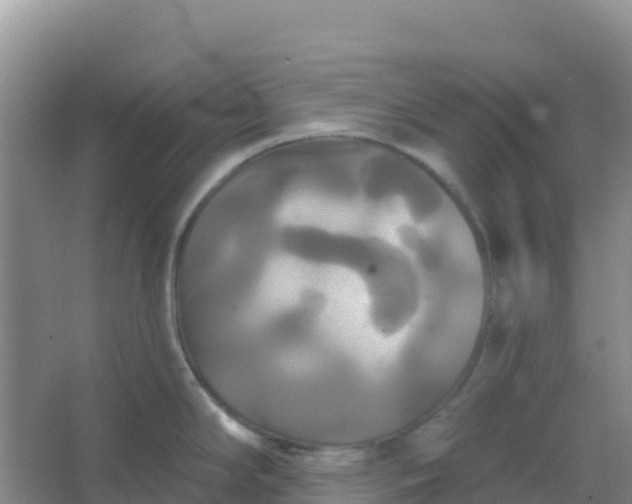 X0000066931294200604071836