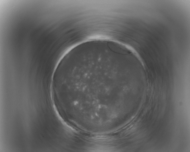 X0000066931295200604071836