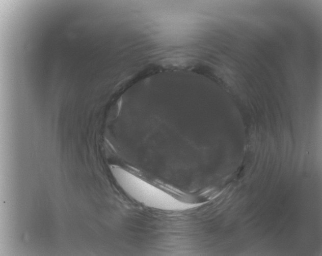 X0000066931297200604071836