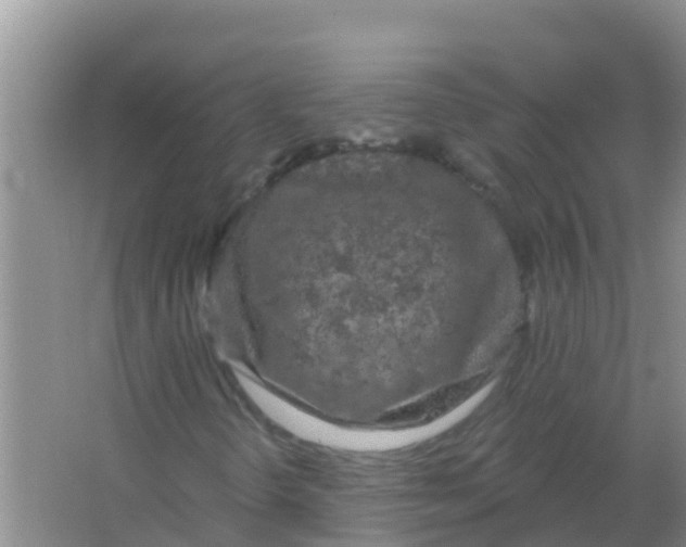 X0000066931298200604071836