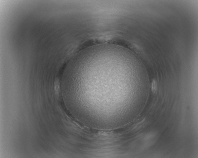 X0000066931299200604071836