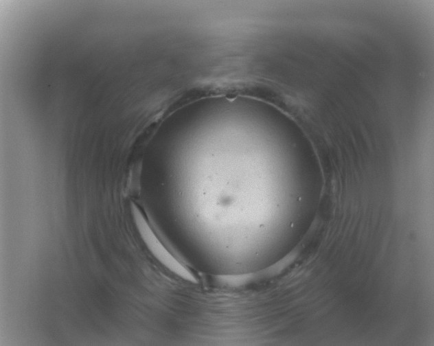 X0000066931300200604071836