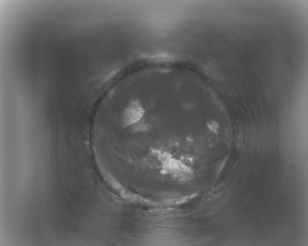 X0000066931301200604071836