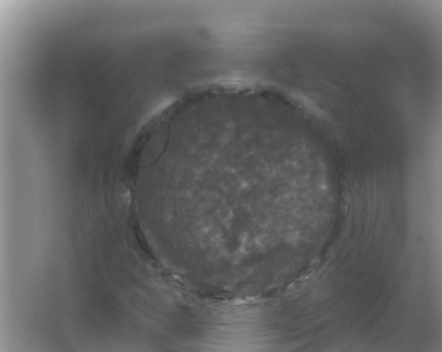 X0000066931302200604071836