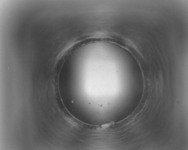 X0000066931304200604071836