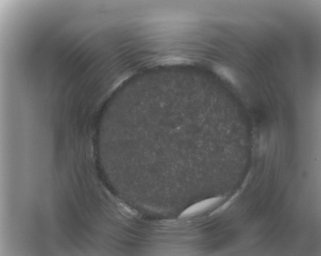 X0000066931305200604071836