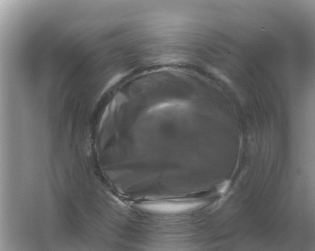 X0000066931306200604071836