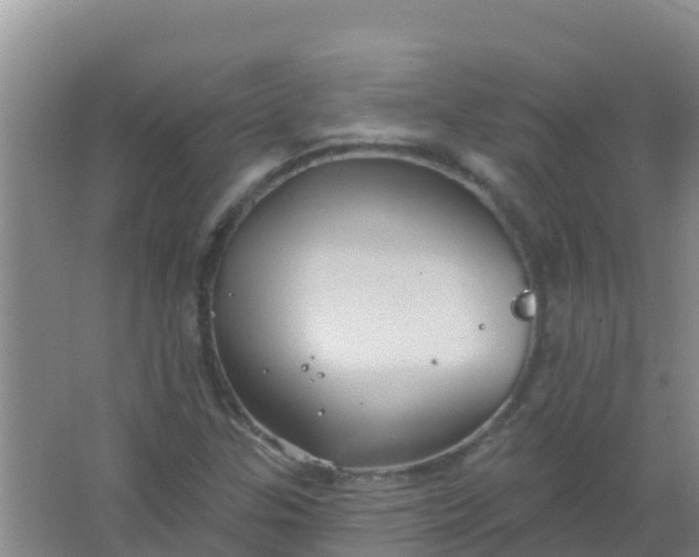 X0000066931307200604071836