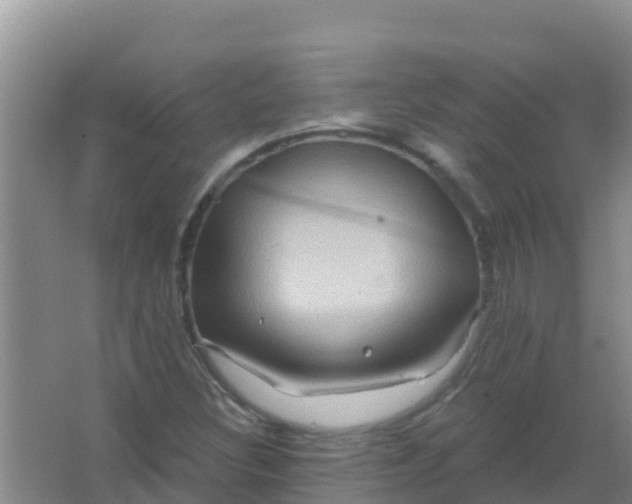 X0000066931308200604071836