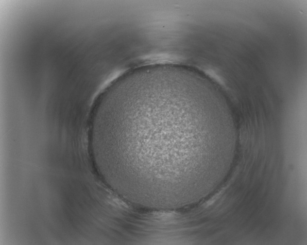 X0000066931309200604071836