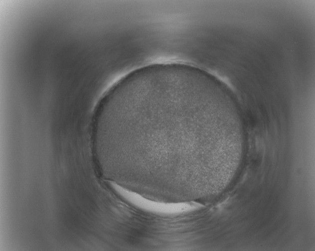 X0000066931311200604071836