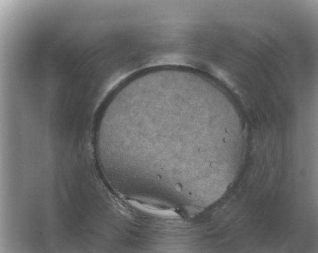 X0000066931312200604071836